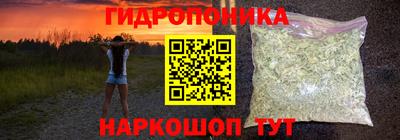сатива Краснознаменск