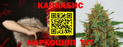 сатива Краснознаменск