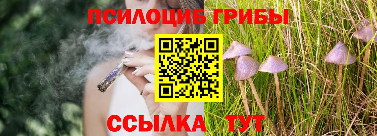 Шатура  Галлюциногенные грибы GOLDEN TEACHER  где продают   Вход с VPN 